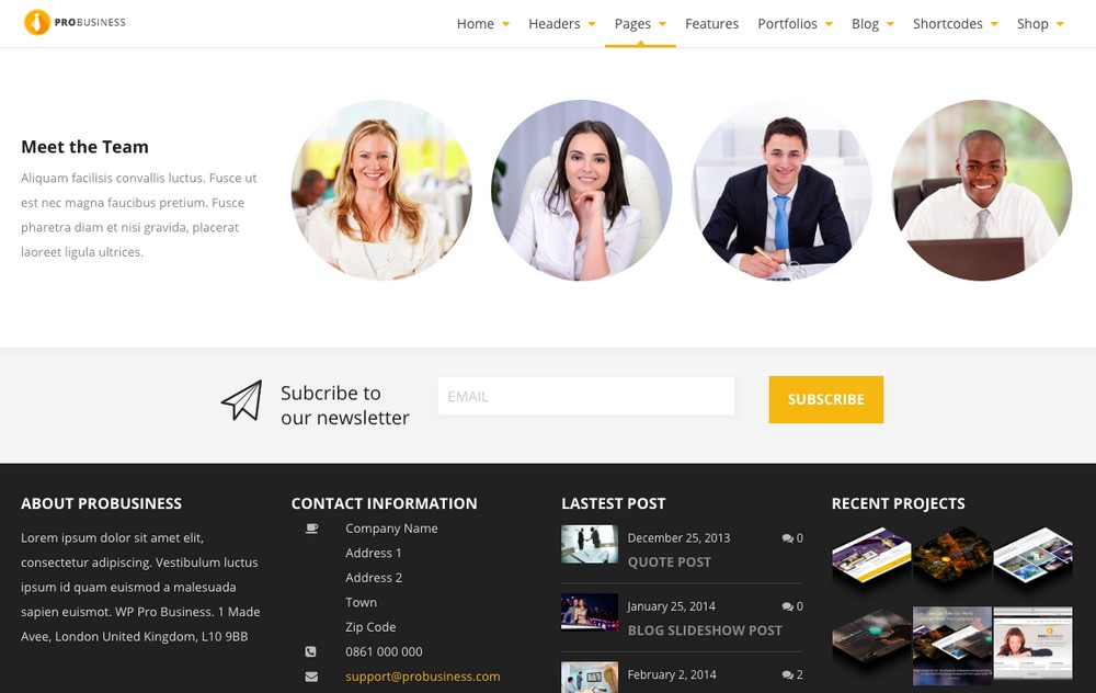 Profesyonel iş WordPress teması