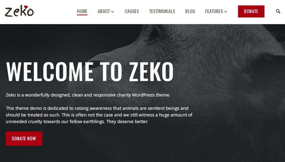 Zeko WordPress teması