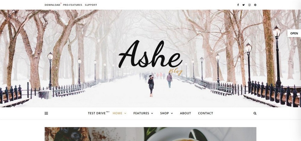 Ashe WordPress teması