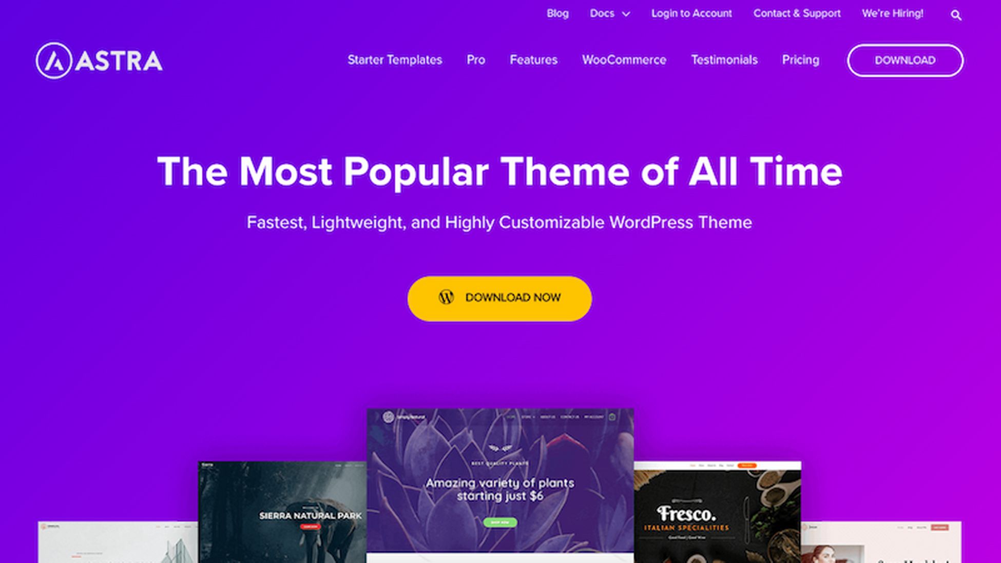 Astra en popüler WordPress teması