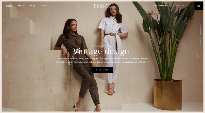 5 أنواع شائعة من مواقع WordPress 3 Esmee WordPress Theme