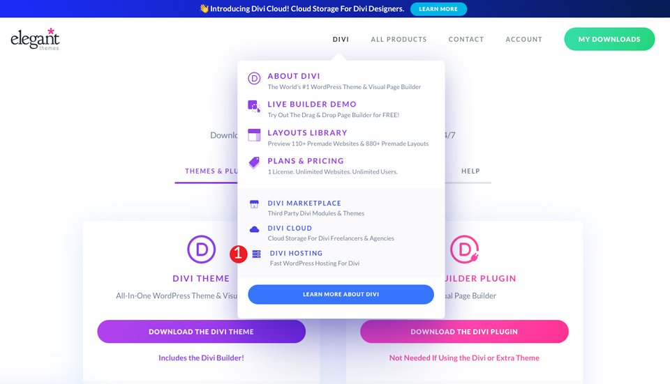 Witryna Divi na Cloudways