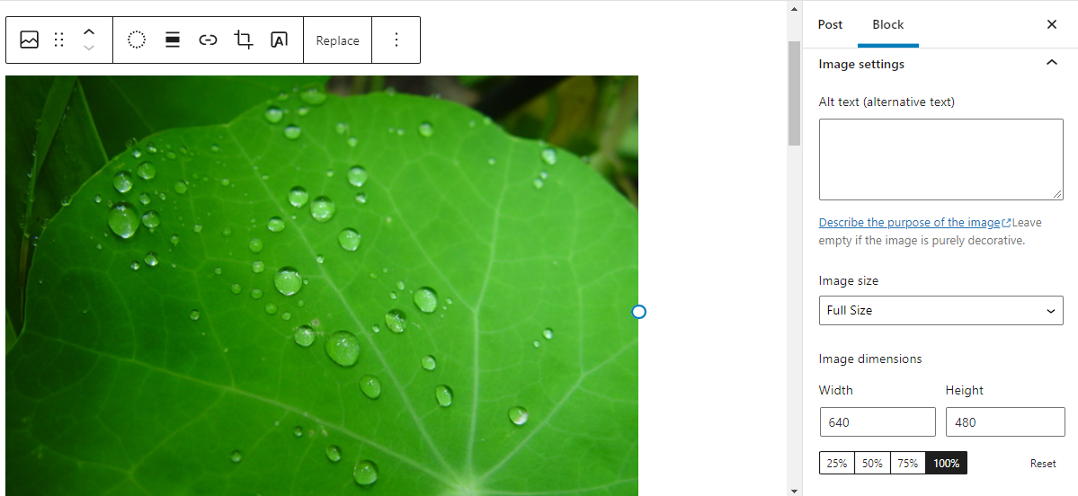 Editar una imagen en WordPress