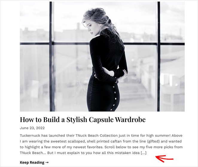 自定义后摘录示例 - SeedProd WordPress custom post excerpt example