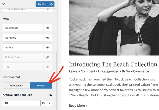 后摘录-WordPress-customizer-SeedProd Turn on the post excerpt button