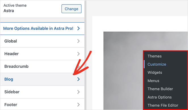 博客设置-WordPress-定制器-SeedProd blog settings WordPress customizer