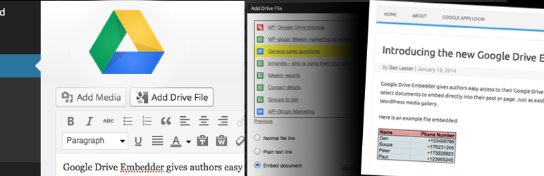 WordPress 2 için En İyi Google Eklentileri Goole Drive Embedder