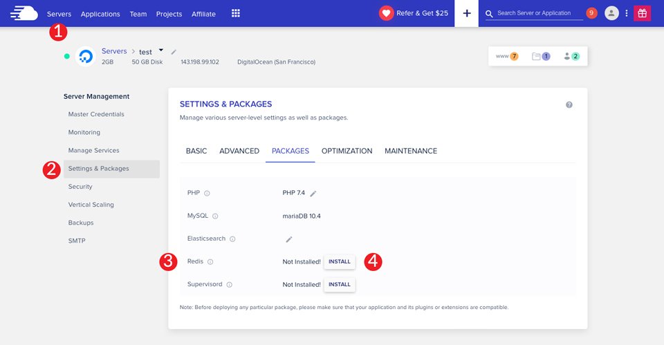 Instalar Redis en Cloudways