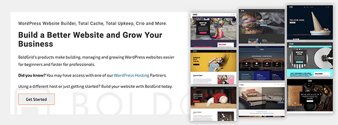粗體網格備份-SeedProd BoldGrid Backups WordPress plugin
