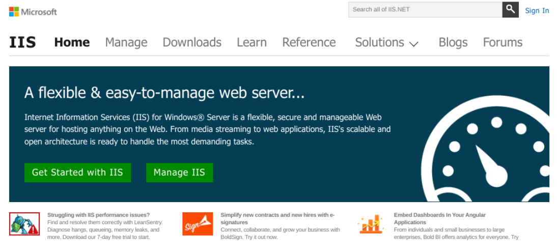 Microsoft IIS web sitesi.