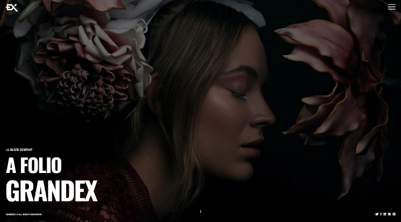 5+ Tema WordPress Portofolio Satu Halaman Terbaik yang Harus Anda Lihat Grandex WordPress theme