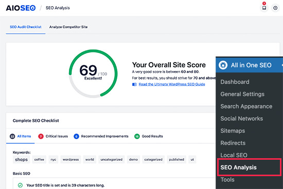 AIOSEO의 SEO 감사