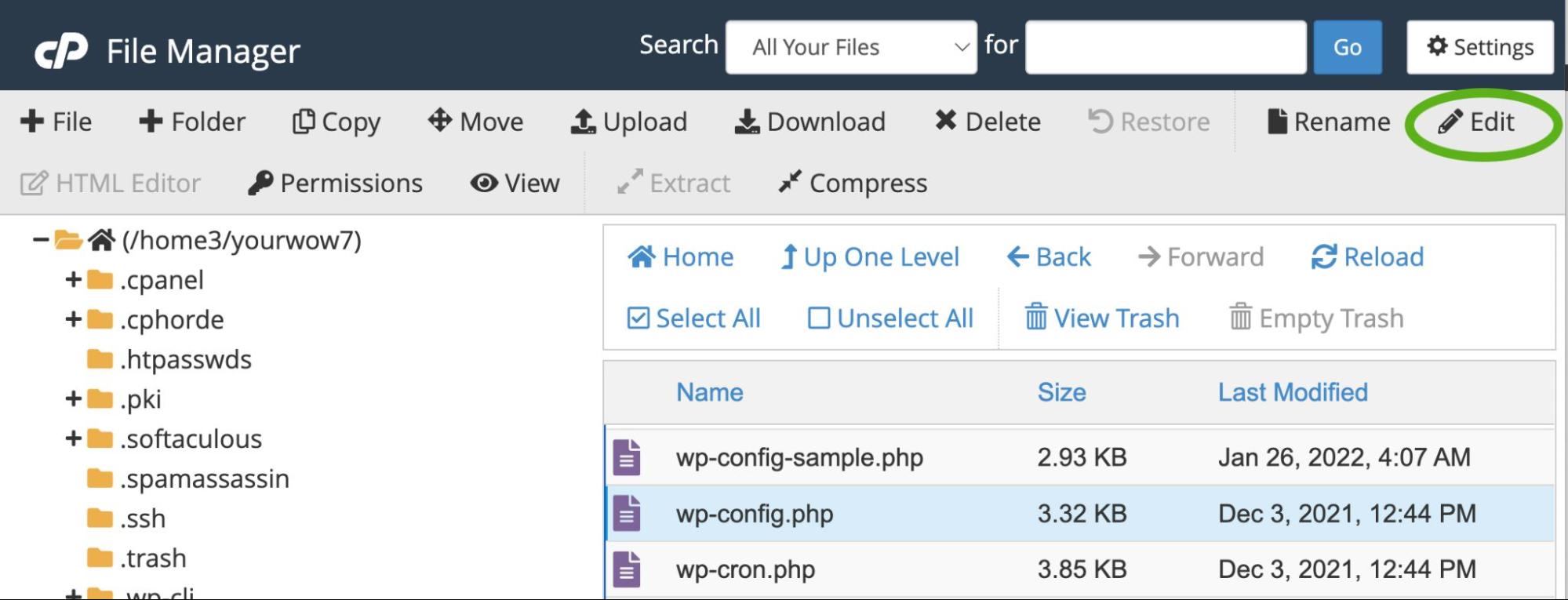 Bearbeitung über Cpanel-Tools