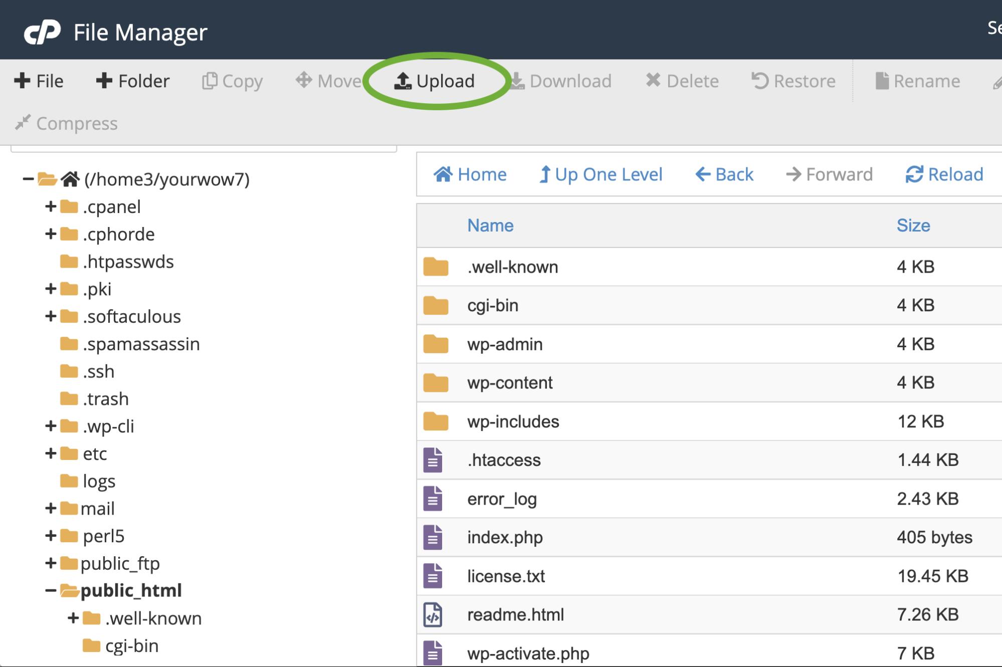Hochladen einer Datei über cpanel