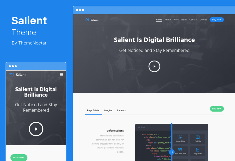 Salient Theme - Tema creativo multipropósito y WooCommerce