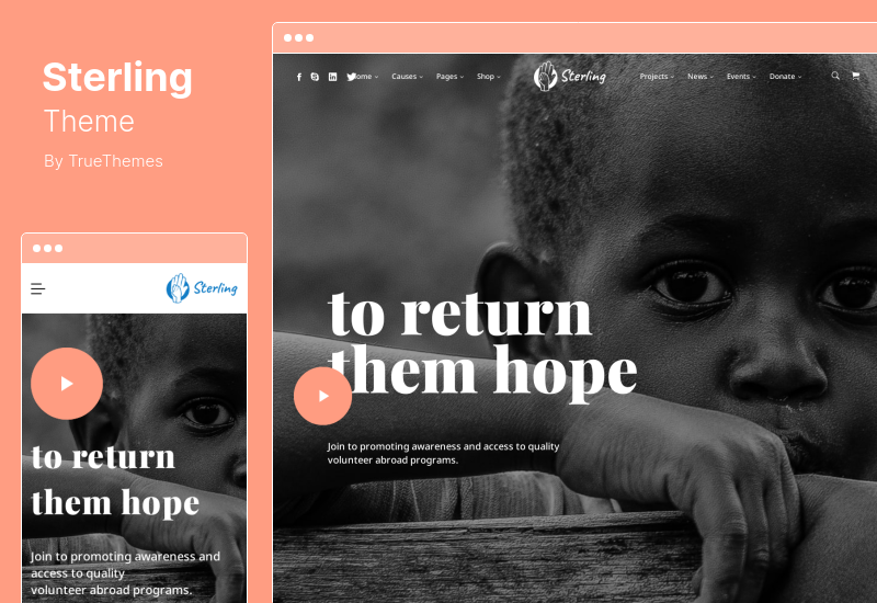 Sterling-Theme – WordPress-Theme für Wohltätigkeitsspenden