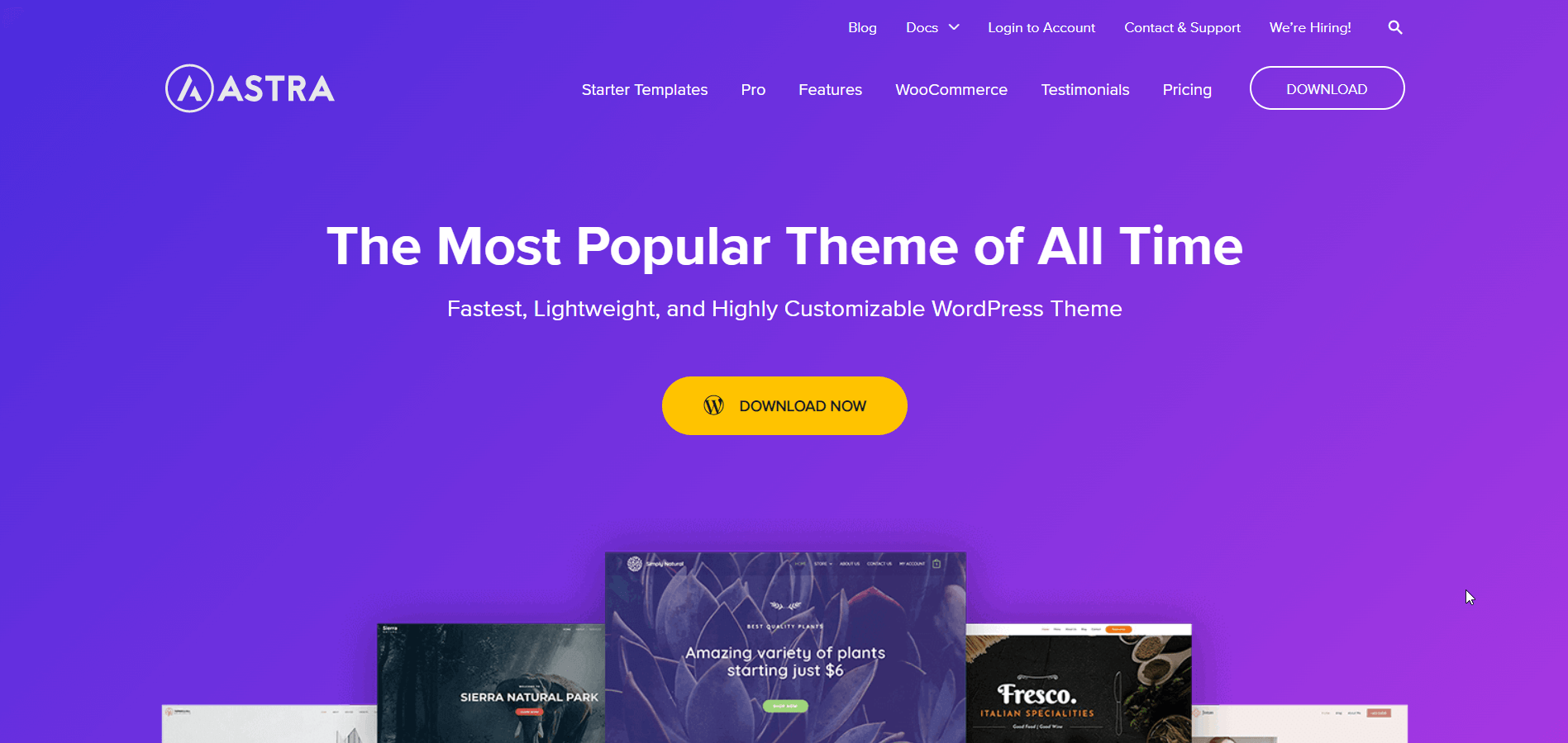 Astra WooCommerce temaları