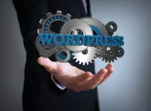 WordPress 插件检查器 - 验证您的安全性