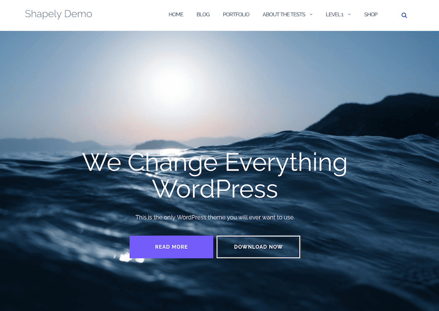 La démo du thème Shapely WordPress offre une image de héros et des appels à l'action clairs.