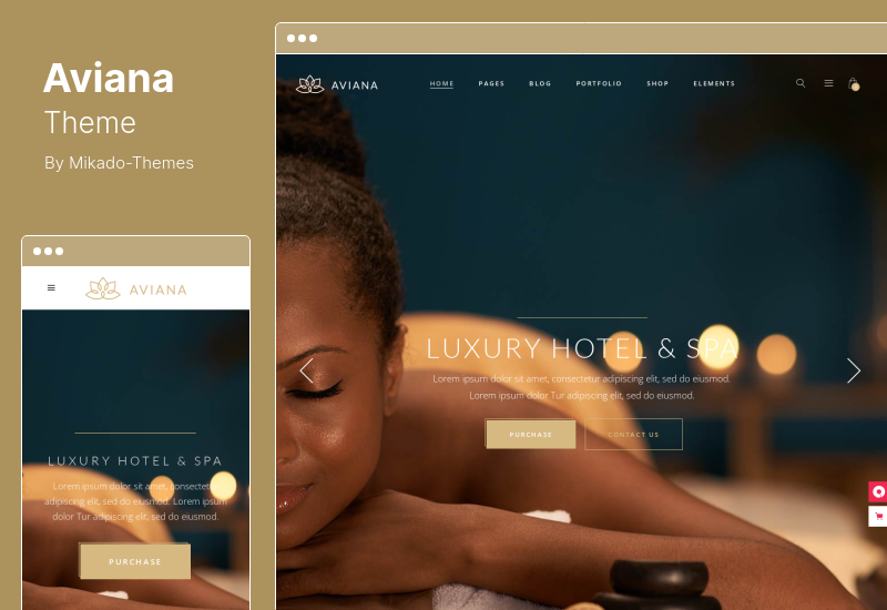 Aviana 主題 - 優雅的健康和水療 WordPress 主題