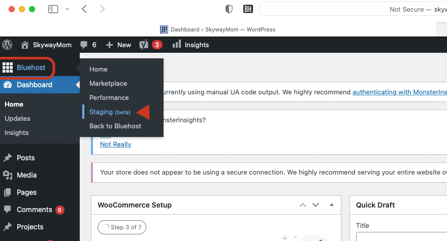 Sito di staging di WordPress Bluehost