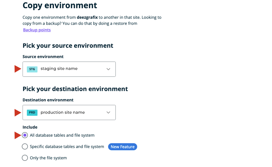 Copia del sito di staging di WordPress WPEngine