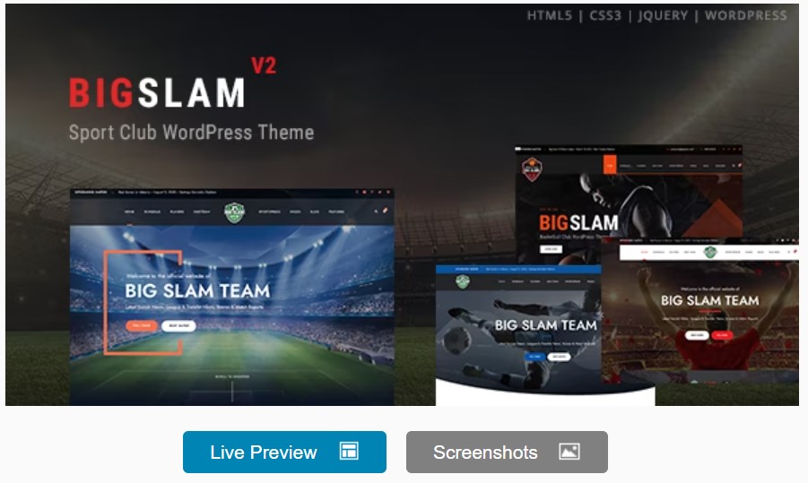 Tema Olahraga WordPress Terbaik