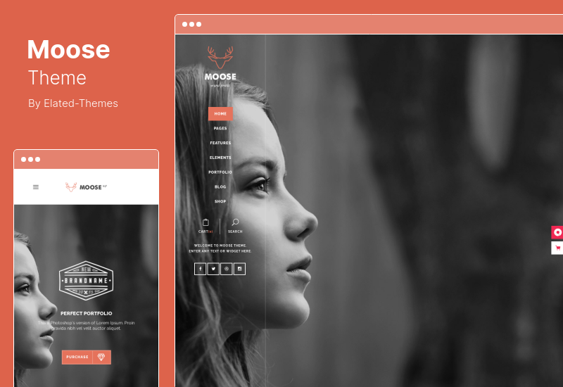 Tema Moose - Tema WordPress Serbaguna Kreatif