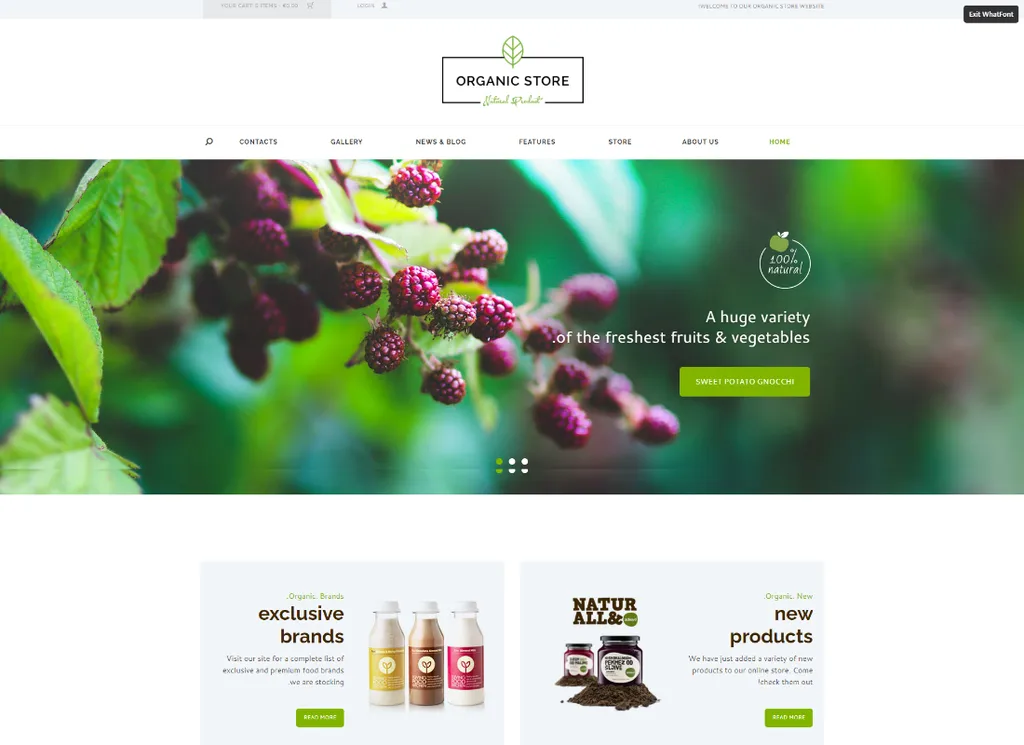 Negozio biologico - Negozio di prodotti ecologici Tema WordPress + RTL