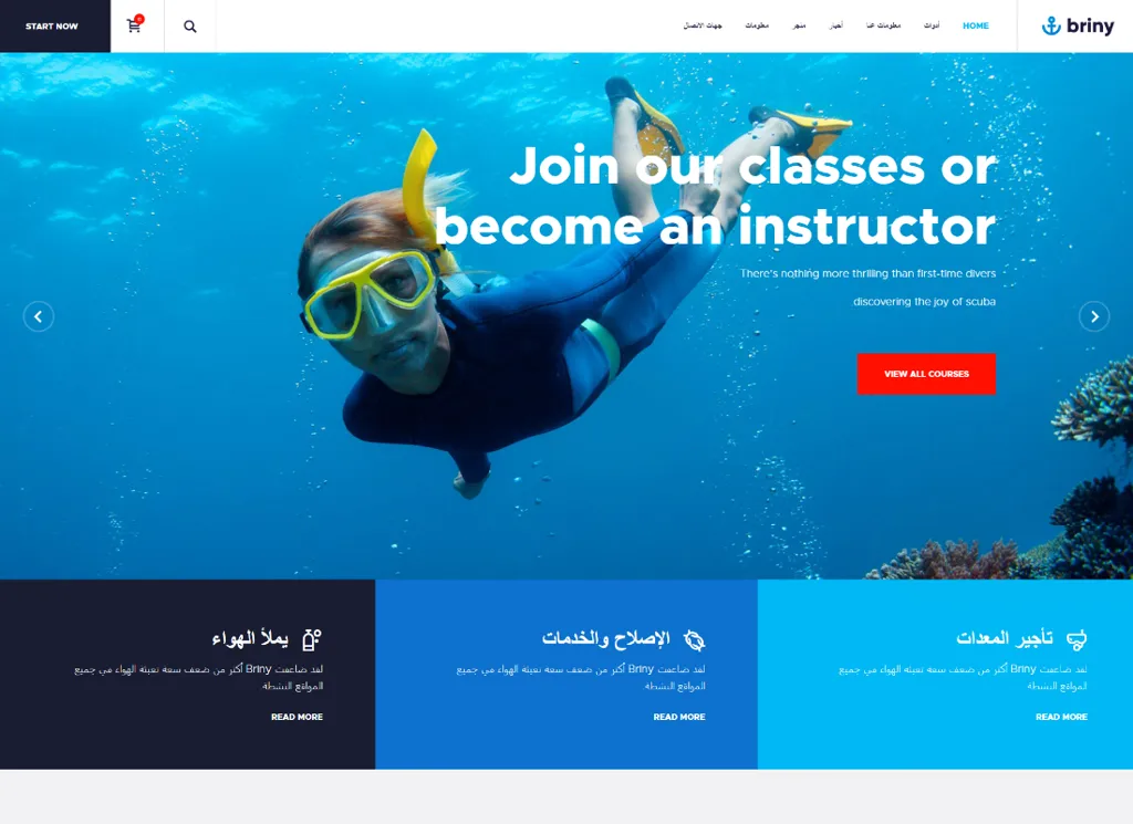 Briny - Tema WordPress per la scuola di immersioni e gli sport acquatici + RTL