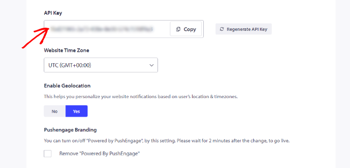 คัดลอกคีย์ API Copy the API key
