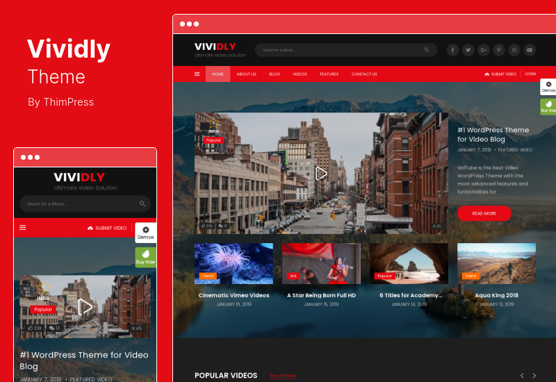 Vividly Theme - Tema WordPress pentru blog video