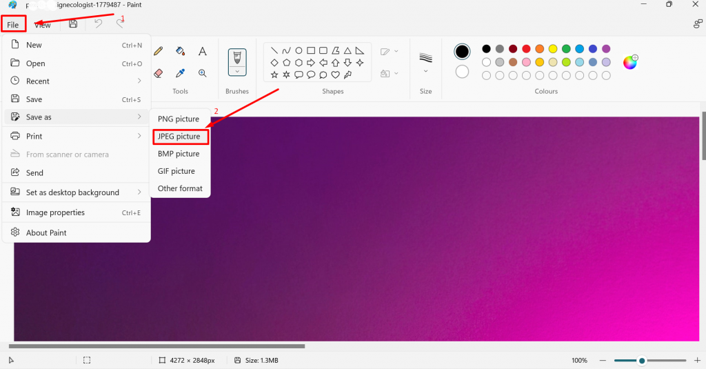 JPG 대 JPEG: JPG는 JPEG와 동일합니까? 세부사항 5에서 설명 Convert images into JPG/JPEG