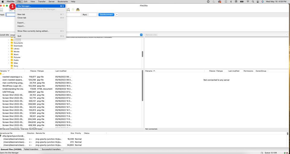 FileZilla 사이트 관리자