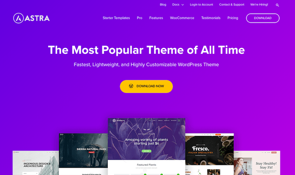 Astra güzel WordPress temaları