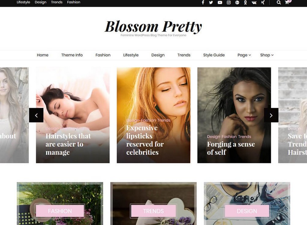 Blossom güzel WordPress teması
