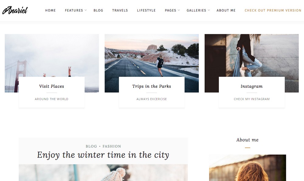 Anariel WordPress teması