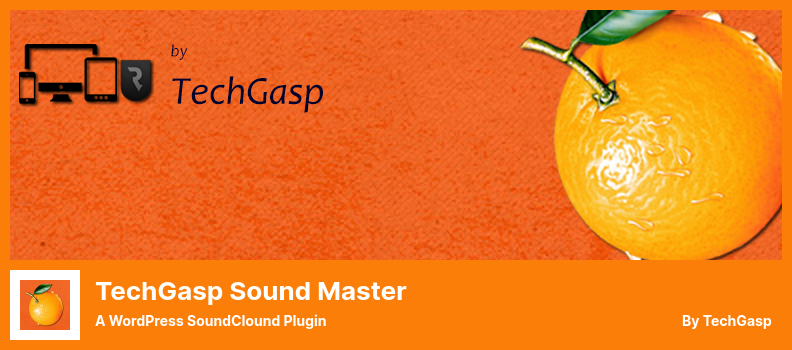 TechGasp Sound Master Plugin - ปลั๊กอิน WordPress SoundClound