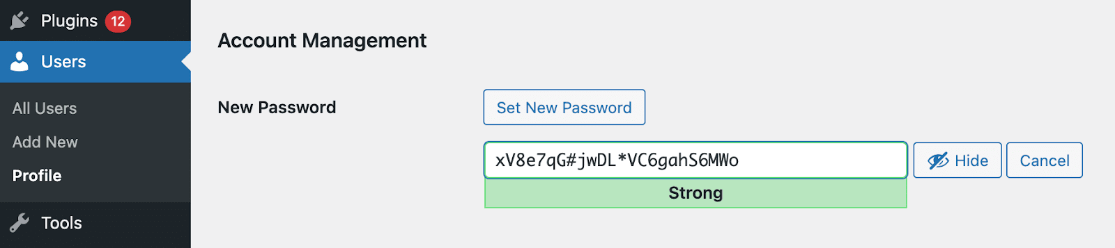 Generieren eines neuen Passworts in WordPress