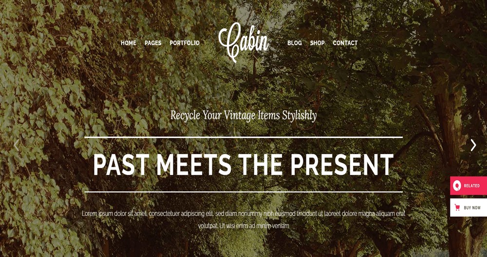 Tema WordPress cabina