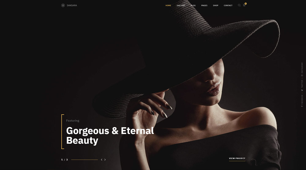 5+ потрясающих тем WordPress для видеосъемки для вашего сайта 6 photography-portfolio-website