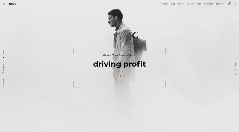 5+ потрясающих тем WordPress для видеосъемки для вашего сайта 3 Novo WordPress theme