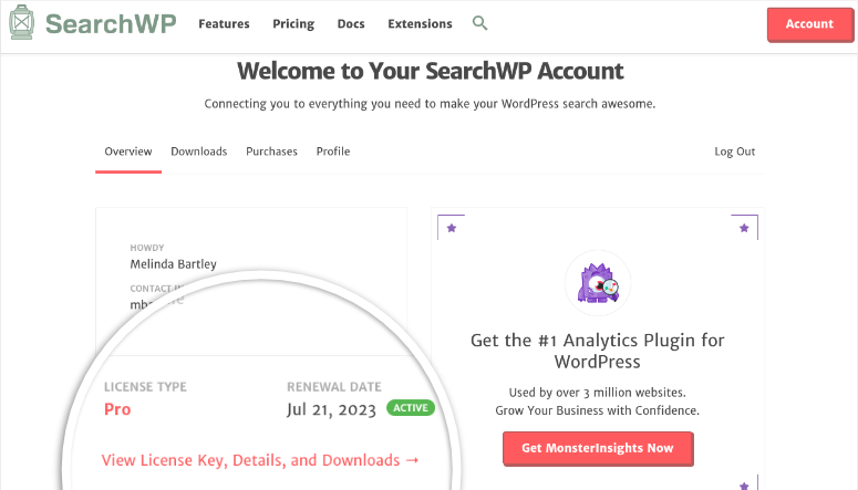 searchwp アカウント - IsItWP - 無料の WordPress テーマ検出ツール searchwp account