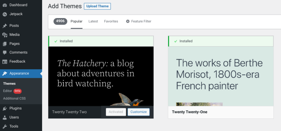 adicionando um novo tema WordPress
