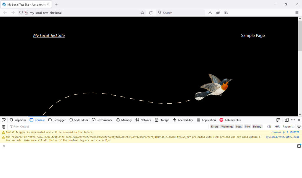 console du navigateur firefox en local