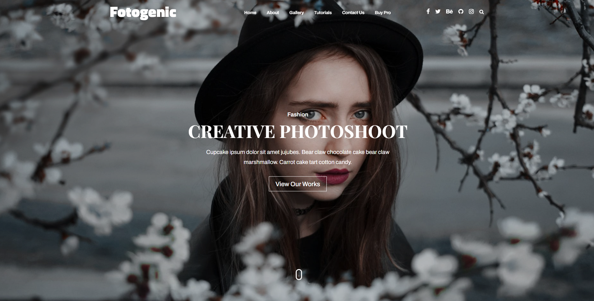 Fotogenic - Temas WordPress para fotografía