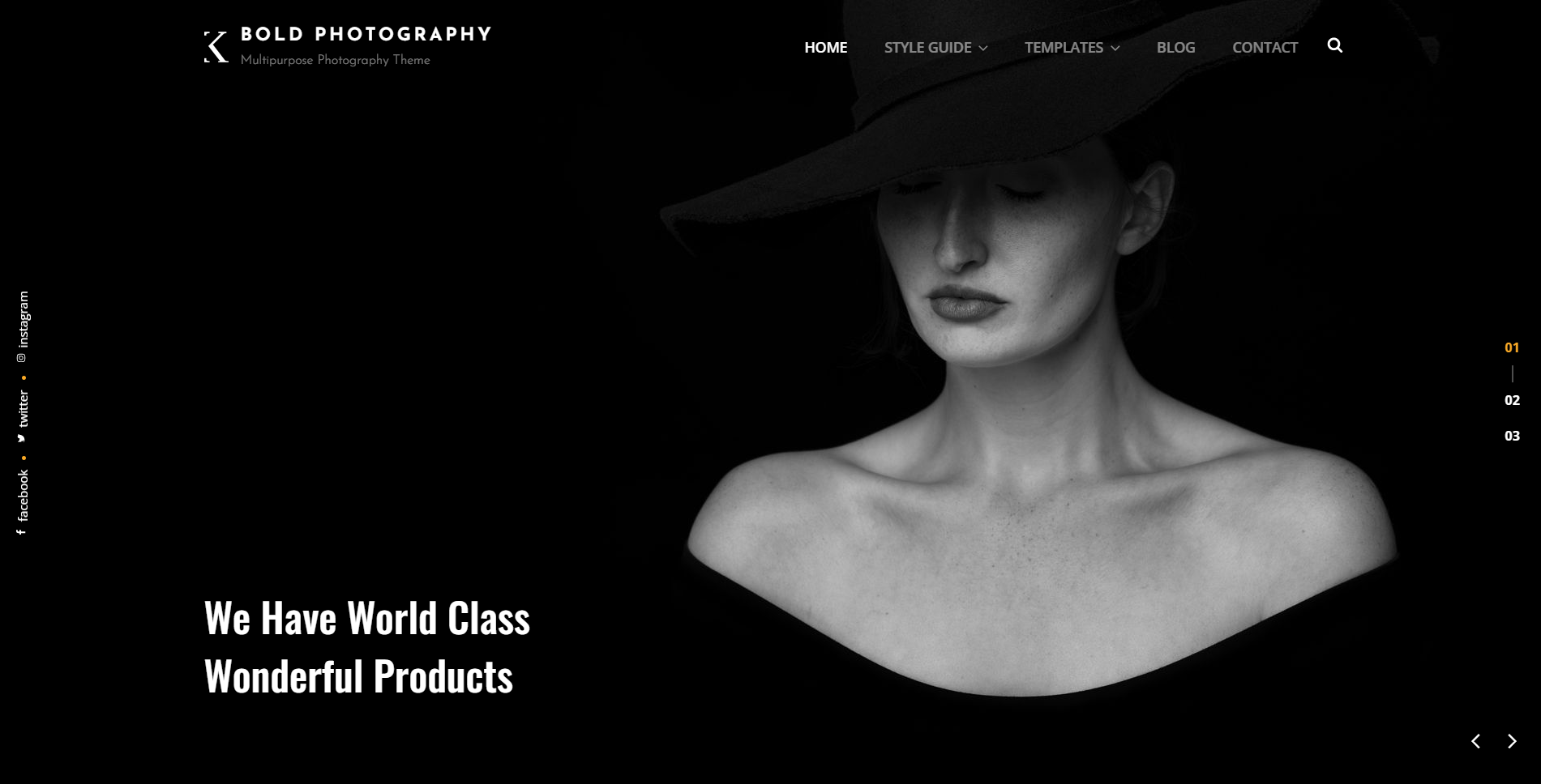 Bold Photography - Temas de WordPress para fotografía