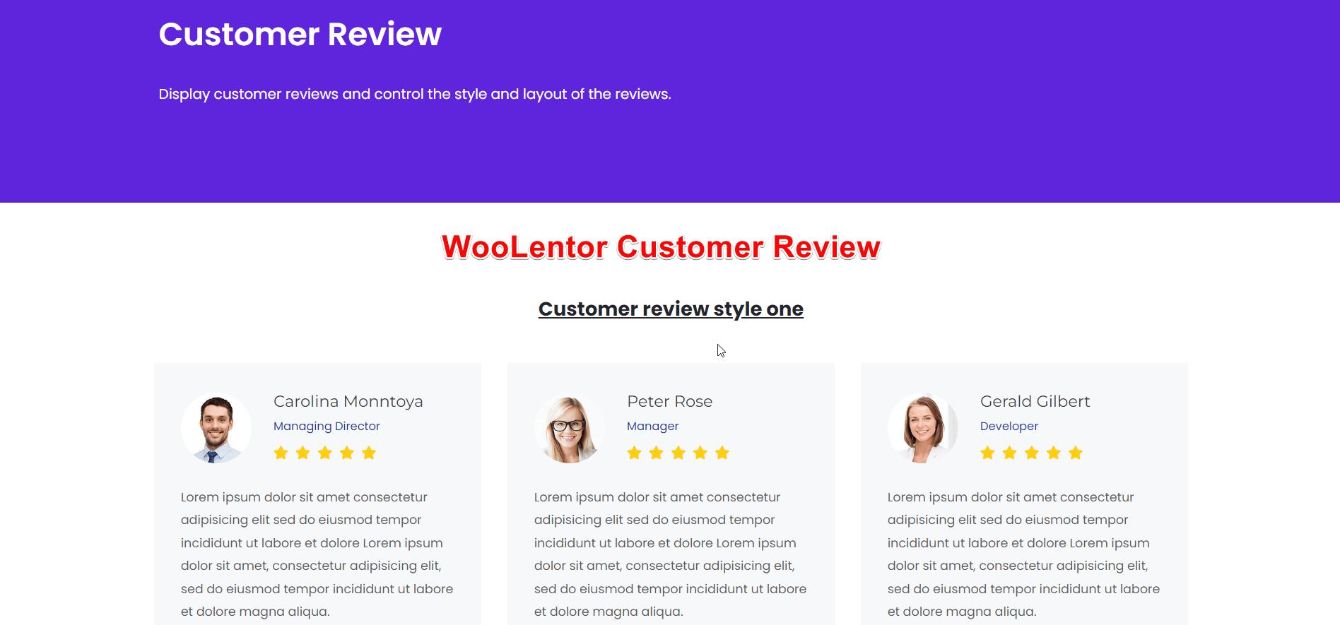 مراجعة عملاء WooLentor WooCommerce builder