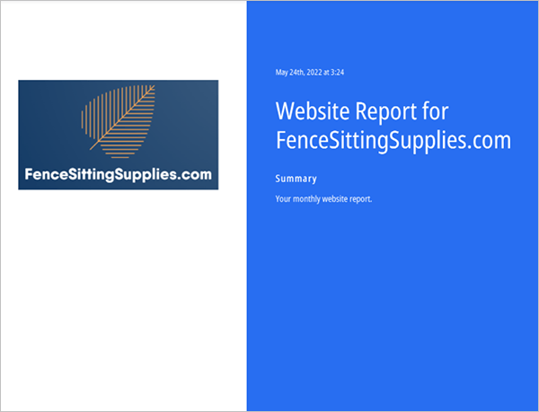Esempio di rapporto sul sito web