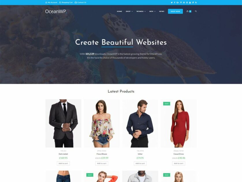 ธีมบล็อก Ocean WP